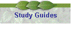 Study Guides
